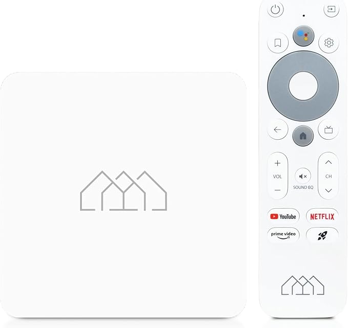 HOMATICS Box R Lite 4K TV Box Androidtv 12 Google & Netflix Certified Amlogic S905Y4 Wifi BT5.0 2GB 32GB Support Dolby Atmos mprojectors.com